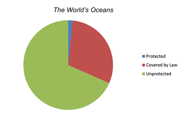 A circle graph shows that about two-thirds of the ocean's are unprotected by fishing laws